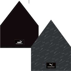 Item thumbnail for item 7fa8c096-977c-428c-ac5c-e535f10558be