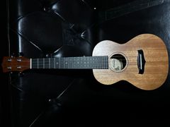 美品 古代ギリシャ民族楽器 Psaltery プサルタリー - メルカリ