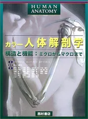 カラー人体解剖学―構造と機能:ミクロからマクロまで [大型本] マティーニ，F.H.、 マッキンリ，M.P.、 ティモンズ，M.J.、 Martini，Frederic H.、 Mckinley，Michael P.、 Timmons，Michael J.; 