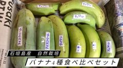 石垣島産 バナナ4種類食べ比べセット（自然栽培）1kg