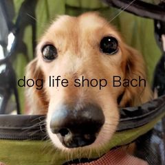 shop-thumbnail