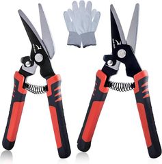 Item thumbnail for item fc0a3423-4c49-4e74-bee7-a59f63e4bf16