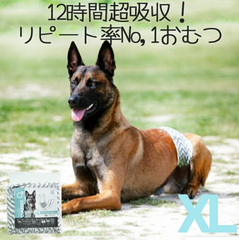 【M-PETS (エムペッツ) 】男の子用オムツ XLサイズ 12枚　大型犬