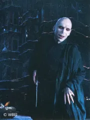 【中古】シール・ステッカー ヴォルデモート(縦/膝上) 「ハリー・ポッター ステッカーセットコレクション Dark ver.」 マホウドコロ限定