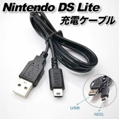 ニンテンドー DSLite 充電ケーブル USB 互換 代用 任天堂DSライト nintendo 1.2m 120cm