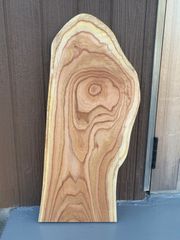 センダン 一枚板 木材 70cm [029]