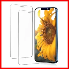 【匿名配送】 iPhone 12PROMAX_HD（薄い） iPhone12pro max ガラスフィルム 【2枚セット】 iphone12pro max ガラ