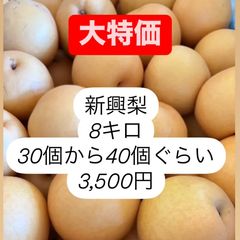 大特価　訳あり　新興梨8ｋｇのサムネイル