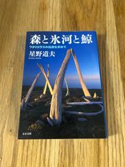 森と氷河と鯨