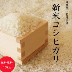 【令和5年新米】10kg　お花屋さんが作ったお米　コシヒカリ