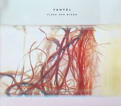 Flesh and Blood (デジパック仕様) / yahyel (CD)