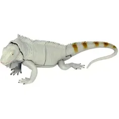 2025年最新】イグアナの人気アイテム - メルカリ