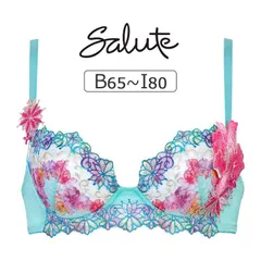 Wacoal サルート 26G 26 L PTJ726 Salute G75