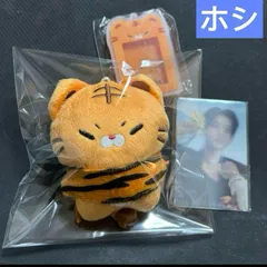 ホシ　ぬいぐるみ　10cm 新品　マスター　seventeen セブチ