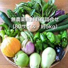 無農薬新鮮野菜詰合せ（80サイズ・約5kg)