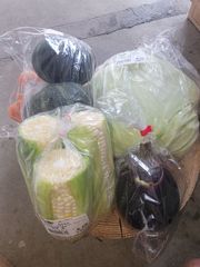 初めての落札の方用　野菜セット　遠隔地の方の落札はご遠慮下さい