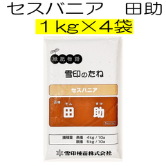 セスバニア 品種名：田助　4kg（1kg×4袋）雪印種苗