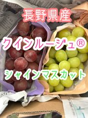 or.260123@ezweb.ne.jp現品一点のみ！クイーンルージュ®︎シャインマスカット　長野県産　ぶどう　送料無料！