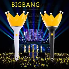 BIGBANG ペンライトケース V.I VI スンリ スンちゃんすんちゃん BIGBANG ペンライト ケース 公式グッズ 肩掛け 小物入れ G