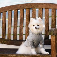 犬と生活　マリンパーカー