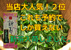 新茶入荷しました‼︎!全国 送料無料　新茶 八十八夜 母の日 お茶  緑茶　健康　訳あり　くまもと茶あらづくり　100ｇ