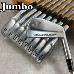 TaylorMade - TaylorMade　テーラーメイド　ICW11　メンズゴルフアイアン　2番　スチール　R　右利き用　39インチ　C-9　400g TaylorMade テーラーメイド ICW11 メンズゴルフアイアン 2番