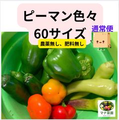 マナ菜園🥗農薬、化学肥料不使用。 ピーマン、ミニパプリカ、バナナピーマン、こどもピーマンなど。60サイズ ♪ 通常便