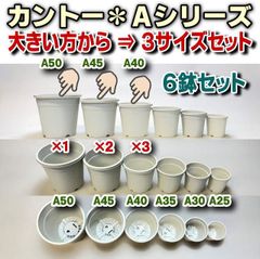 カネヤ生産者仕様＊カントーAシリーズプラ鉢＊大きい方から3サイズ：A-50×1鉢、A-45×2鉢、A-40×3鉢の計6鉢セット＊多肉植物・塊根植物コーデックス・アガベ・サボテン・盆栽・観葉・ハオルチア・アデニウム・パキポディウム・実生＠フラワーショップ江口