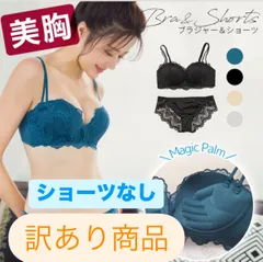 【訳あり品で超お買い得】【ショーツなし】C  レースブラ　バストアップ 美胸 レース 女性 【送料無料】ブラジャー ショーツ 補正下着 寄せ上げ バーゲン