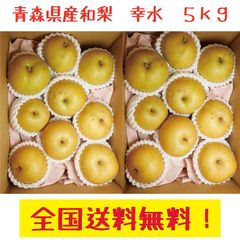 青森県産 和梨:幸水14～23玉程度　 訳あり　５kg　送料無料
