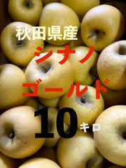 秋田県産りんご　シナノゴールド約10キロ　家庭用