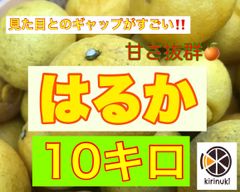 はるか10キロ
