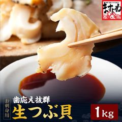 【お刺身用】大粒生つぶ貝 大盛1kg(500g×2) (ロシア/オホーツク海産) つぶかい つぶがい ツブガイ ツブカイ 粒貝 海鮮 ますよね