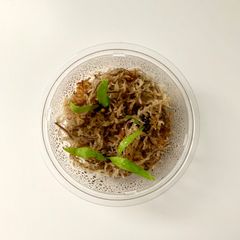 【特価！】胞子培養株 | P. 'Mt.Lweis' | マウントルイス 幼苗