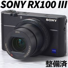 ソニー ハイエンドコンパクトデジタルカメラ SONY RX100 III DSC-RX100M3 ブラック バッテリー・ポーチ付 整備済