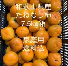 和歌山県 九度山町産 たねなし柿 家庭用 7.5kg