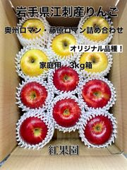 江刺産りんご「奥州ロマン・藤原ロマン」家庭用3kg箱詰め合わせ