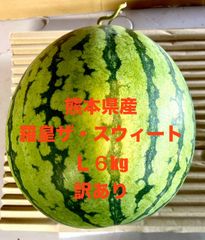 【産地直送・訳あり・大玉すいか赤果肉・６／１２以降発送可】熊本県産羅皇ザ・スウィート　L　１玉　訳あり品　優品