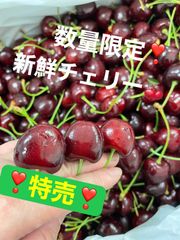 数量限定‼️シーズン最初　アメリカンチェリー　さくらんぼ　チェリー　车厘子 箱込み1kg