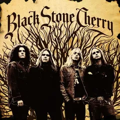 【中古】Black Stone Cherry