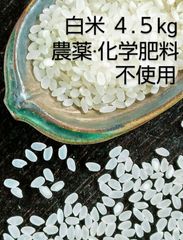 【農薬化学肥料不使用】新米 きぬむすめ 白米 ４.５kg　無農薬 　農園若づる