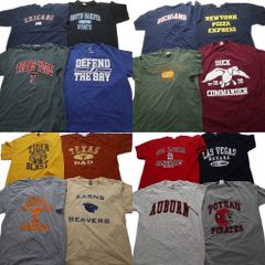古着卸 まとめ売り カレッジ 半袖Tシャツ 16枚セット (メンズ L /XL ) アーチロゴ 3段プリント チームロゴ 英文字 中古 古着 NB3947