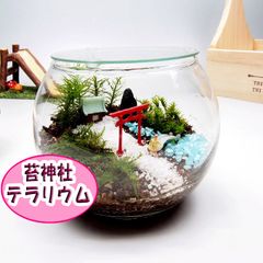 苔神社【苔テラリウム・手作りキット一式】金魚鉢