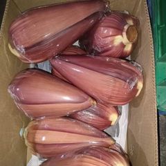 [6月5日木曜日に入荷予定、入荷次第出荷]　生鮮  フィリピン産バナナハート　1箱12玉　(~13kg)