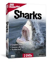 SHARK DVD-BOX 豪華版〈初回限定生産・5枚組〉 - メルカリ
