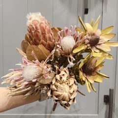年始セール！ドライフラワー花材4種類　ワイルドフラワー　プロテア　リューカデンドロン