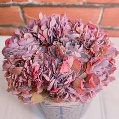 hcttUGd9QpNwSKcWVVjfZB.jpg@jpg