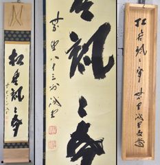 藤井誡堂「松風颯々聲」 掛軸 書 茶掛 大徳寺 共箱