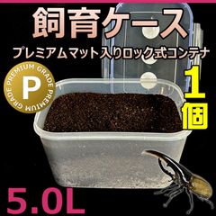 飼育ケース　ロック式コンテナ　5.0L　プレミアムマット入り　1個　国産 外国産カブトムシ 幼虫飼育に最適！　おまけ付！！