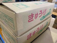 国産　きゅうり　約5ｋｇ入り
